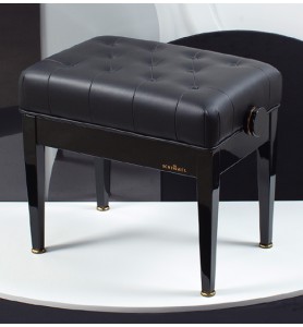 Photo Schimmel BK9-I Tradition II capitonnée